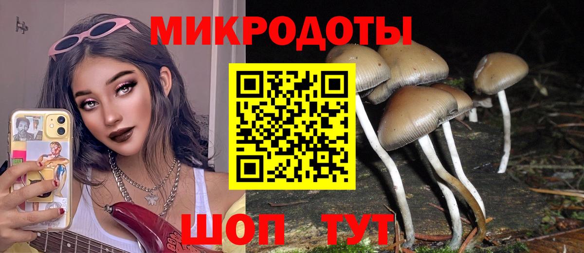 Псилоцибиновые грибы Psilocybine cubensis  Вход с VPN  Галлюциногенные грибы Magic Shrooms  Полевской 